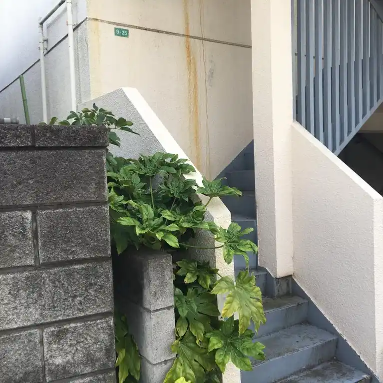 奥沢ハイツ 外観