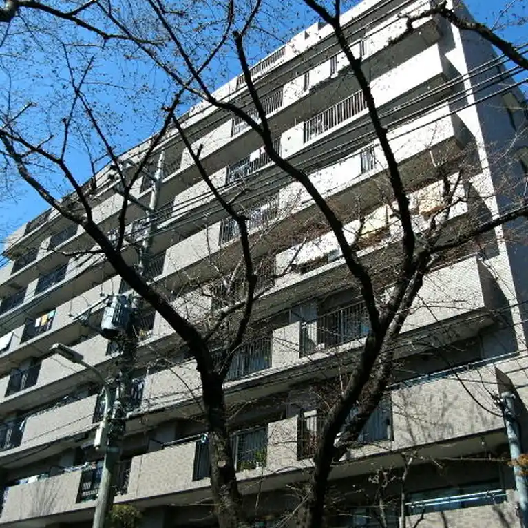 ナイスアーバン久米川 外観