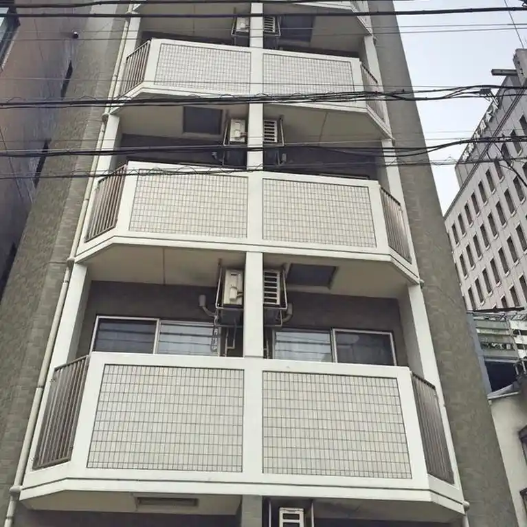 Paddy 外観
