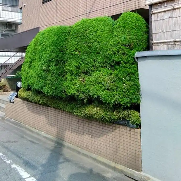 ガーデン・ハイツ町田 外観