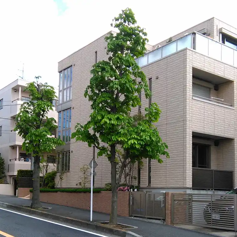 シャンドリス 外観