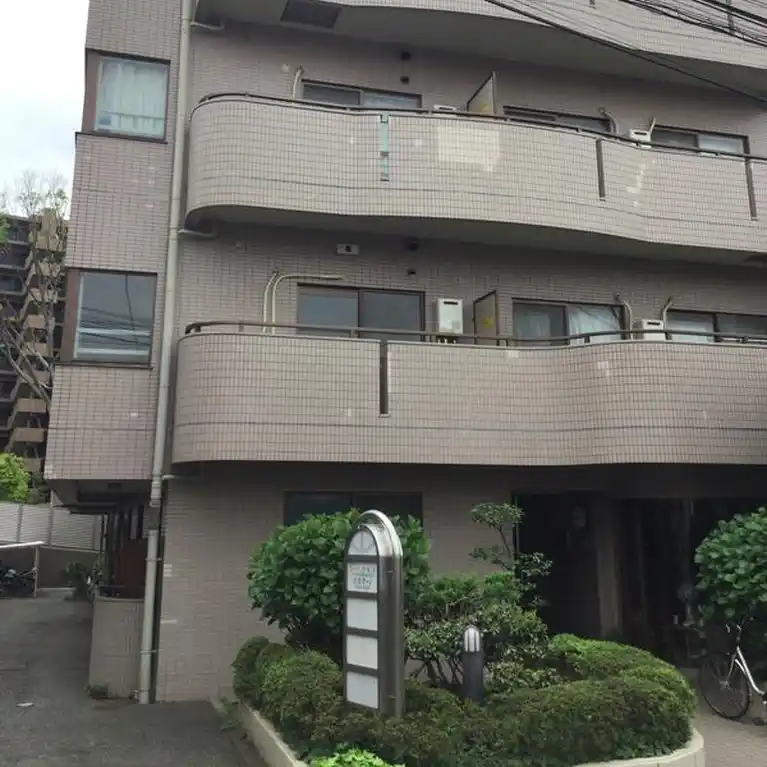レアンドロ三好 外観