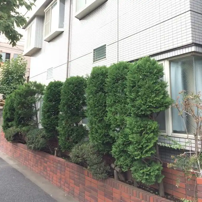 サンプライム