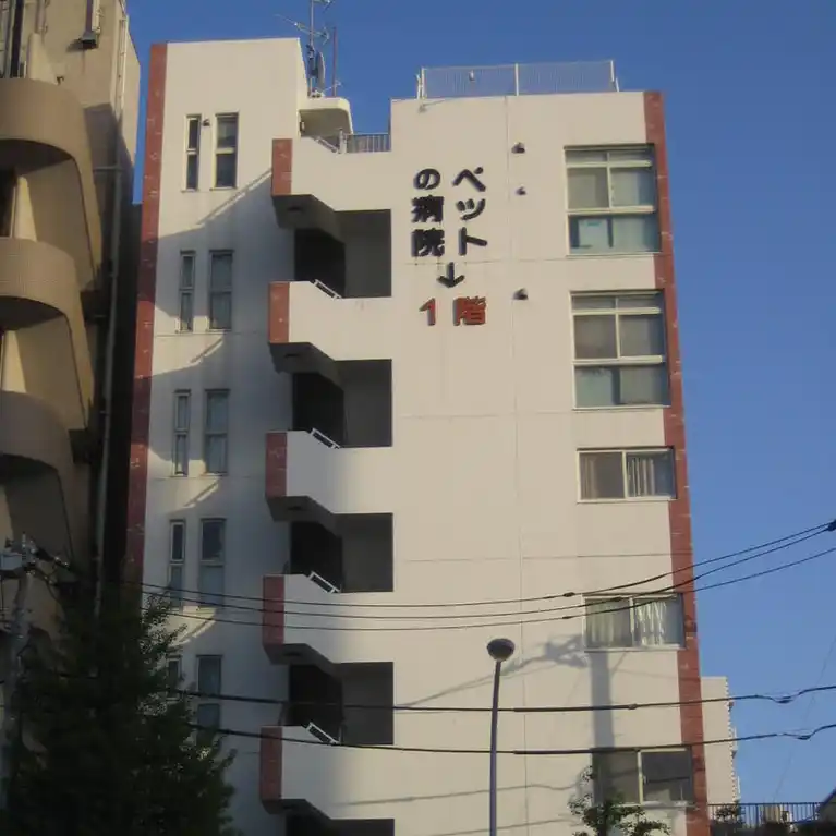 アネシスK