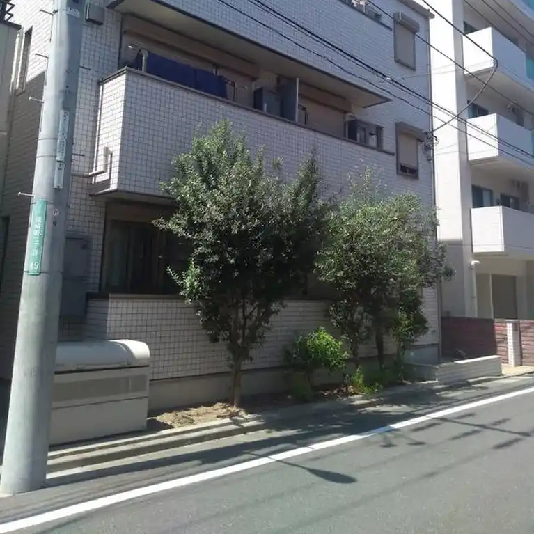 シルフィード 外観