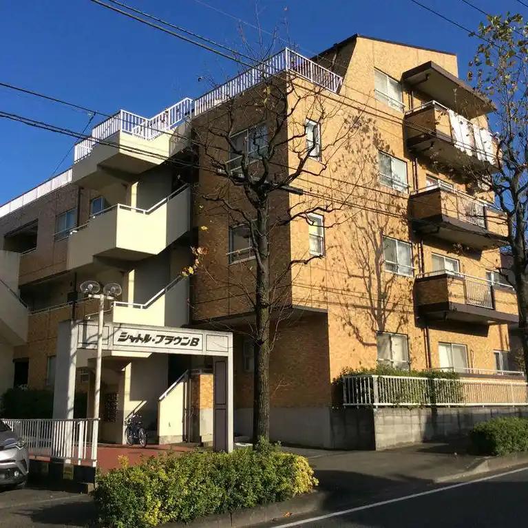 シャトルブラウンB 外観