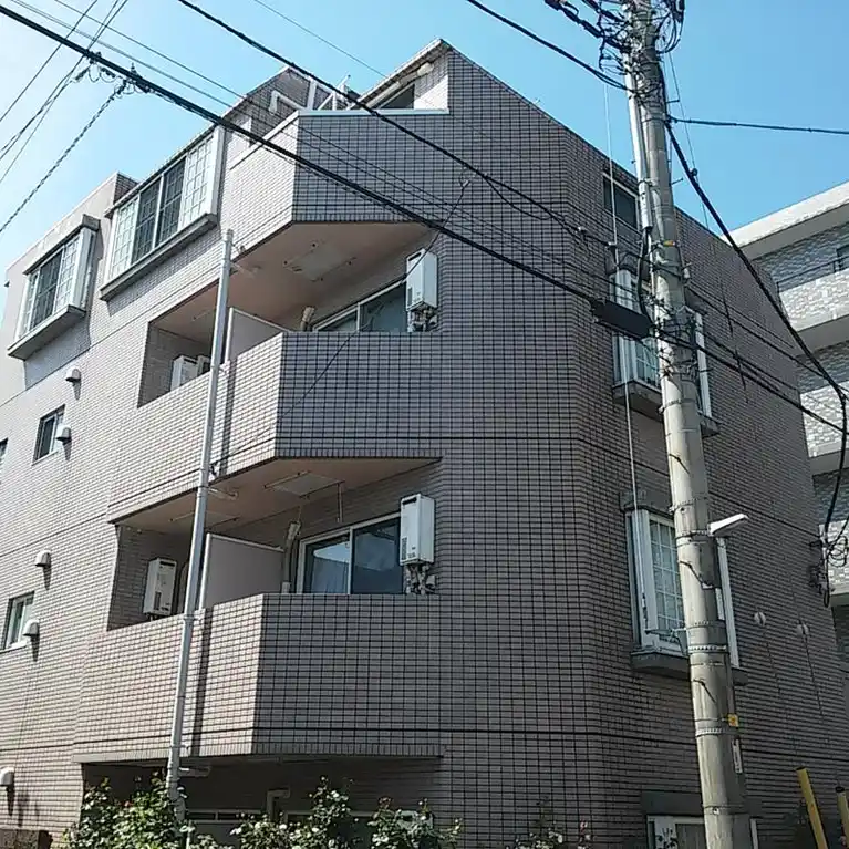 シェモア