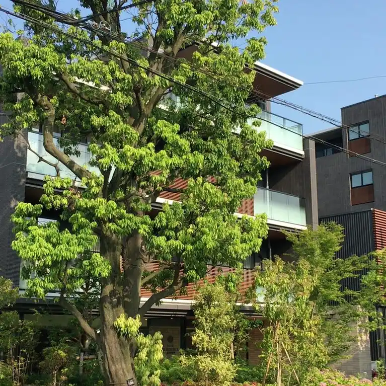 藤和シティホームズ武蔵小杉陣屋町