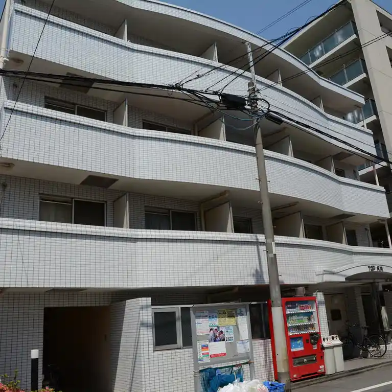 TOP矢向