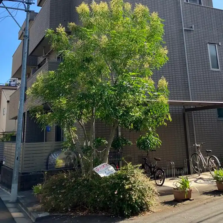 メゾン元代々木