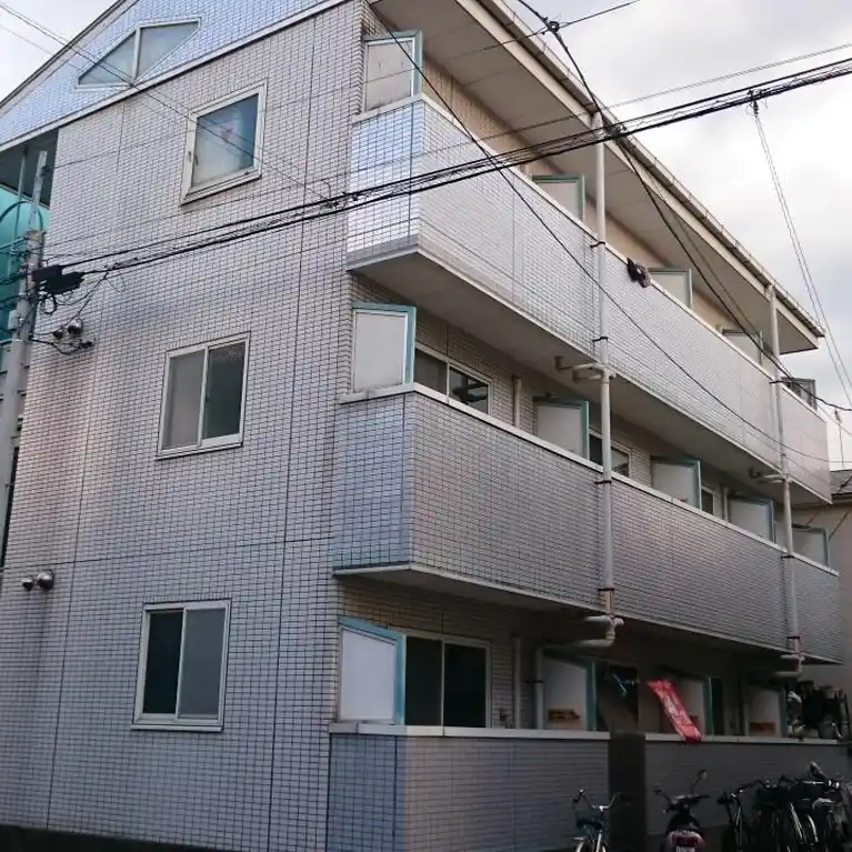 シルフィード蕨