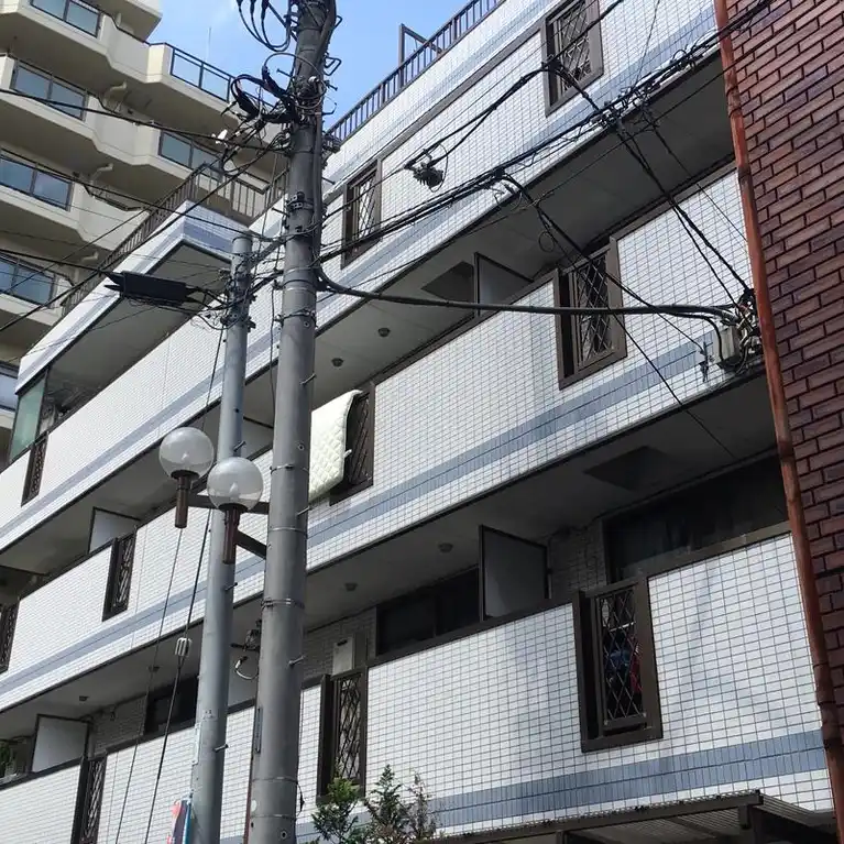シャトレーナルシマ 外観