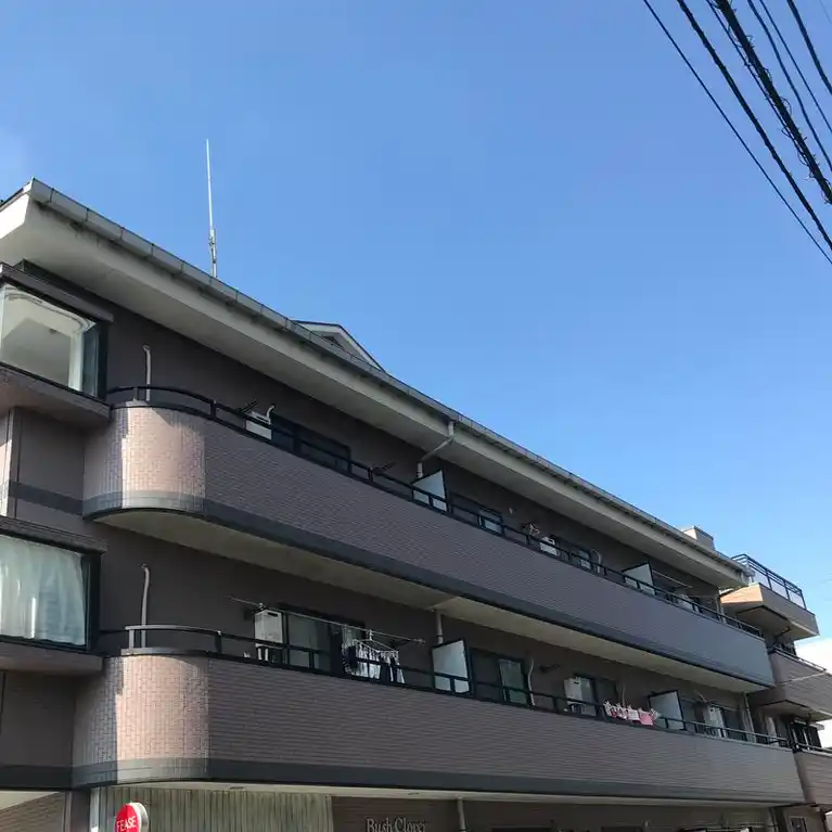 ブッシュクローバー