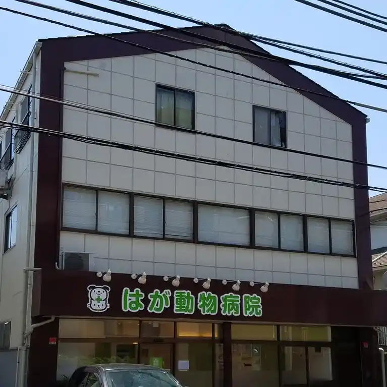 コスモスビル