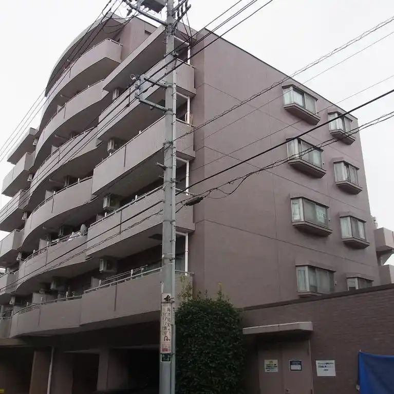 ルネ・マグノリア