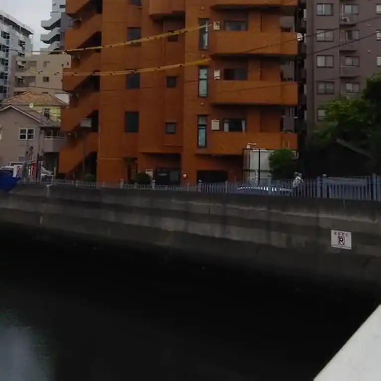 ライオンズマンション日枝町