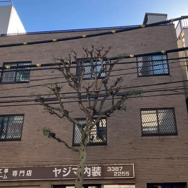 矢島ビル 外観