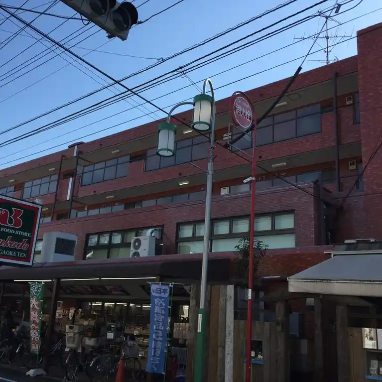 ハイライフ自由が丘
