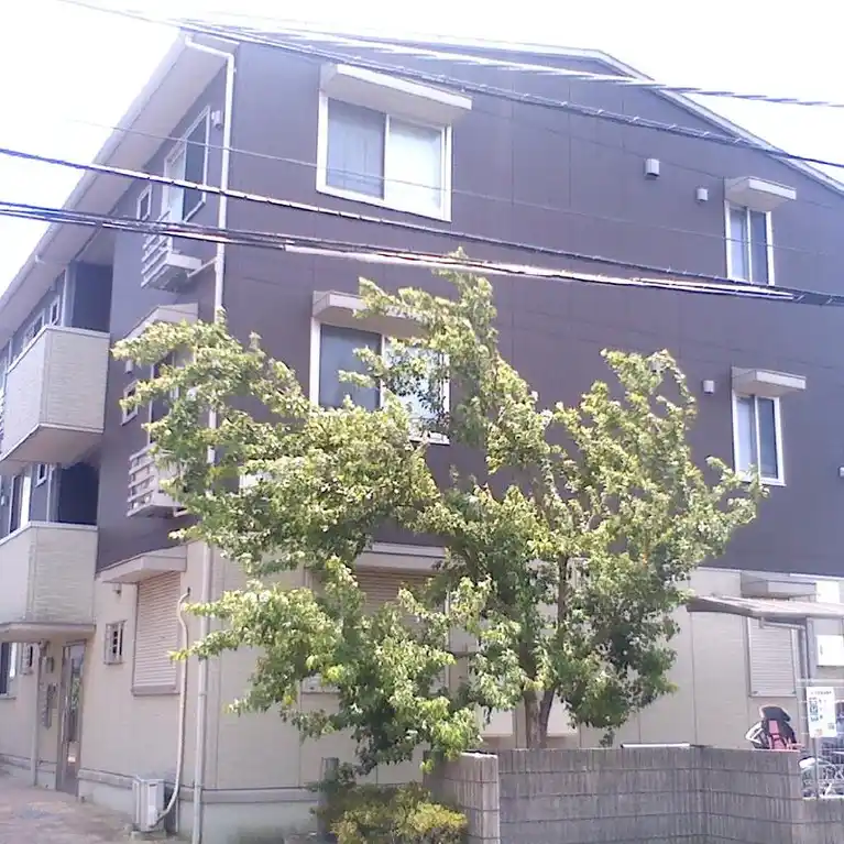 メイプル