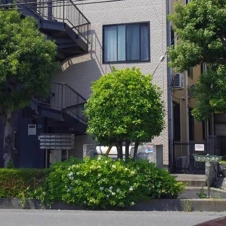 DRホームズ与野 外観
