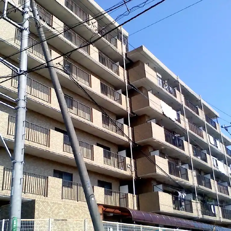 ドミ中屋