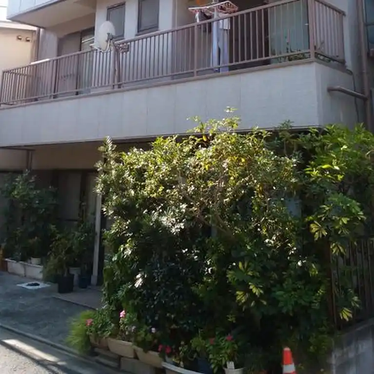 パショリ白金 外観