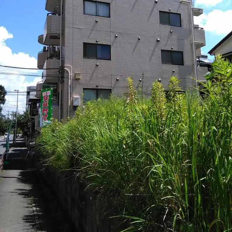 サンシティー寺尾台第1 外観