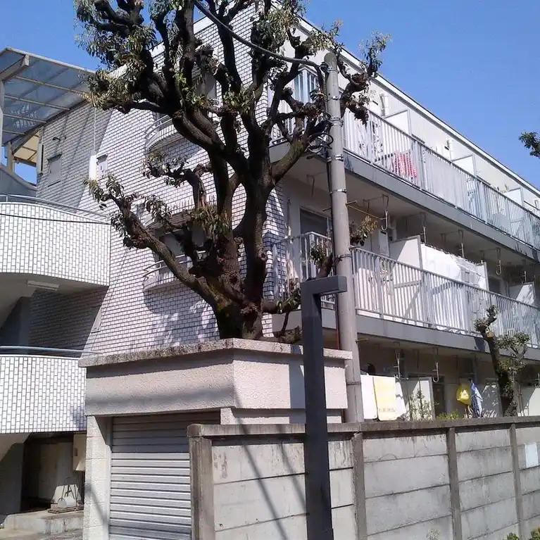 スワコモンズ 外観