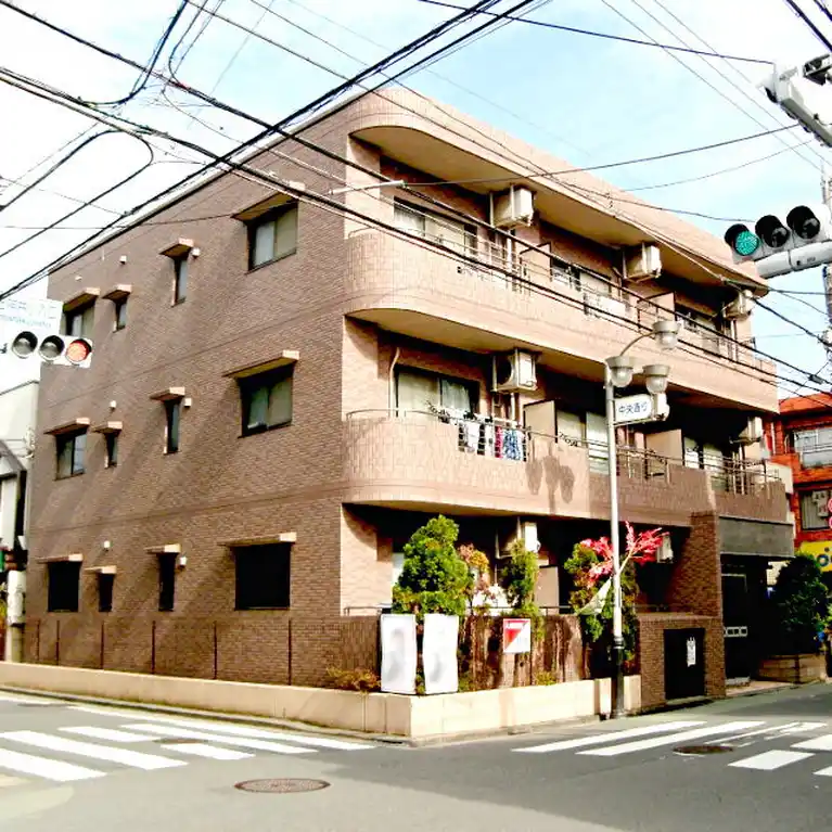 マイシャテロ