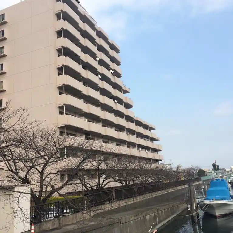 Wing大森南