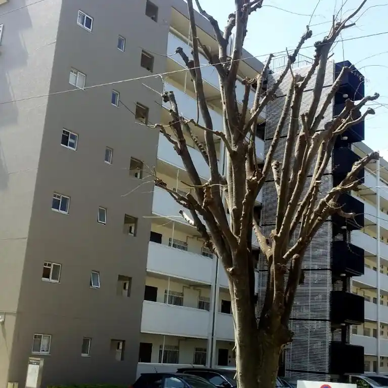 相模大野南台マンション