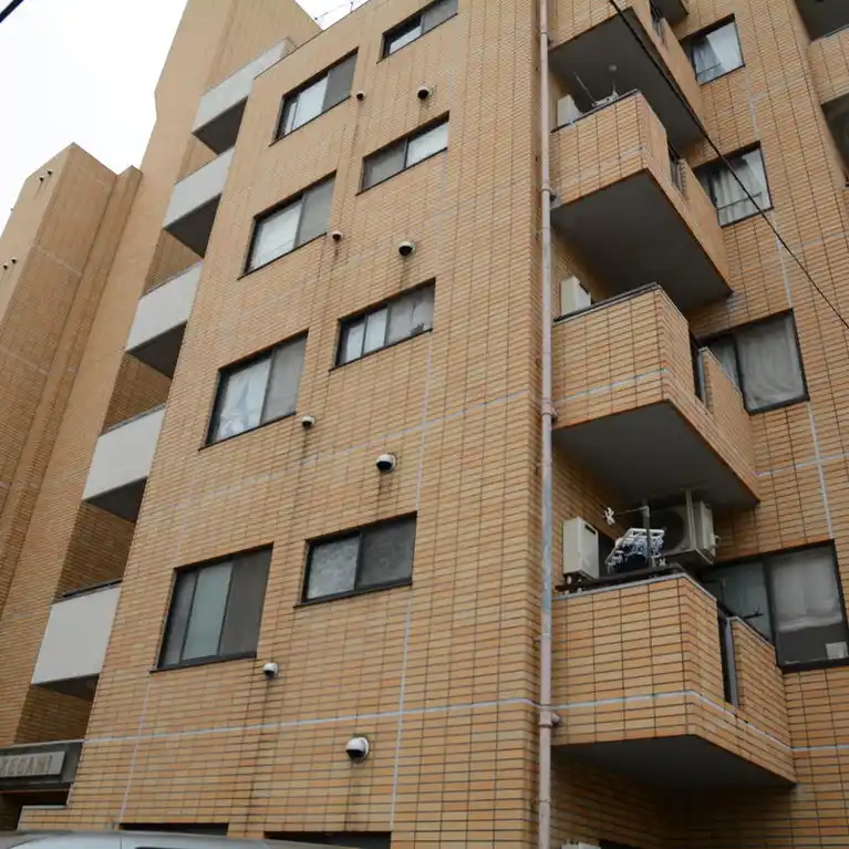 シェモア仲池上 外観