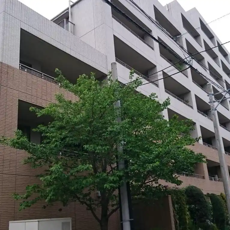 パークハウス志村三丁目STATION ARENA 外観