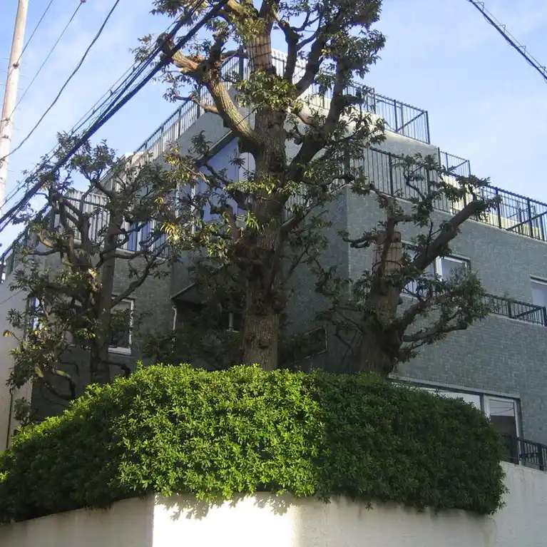 カルム原宿 外観