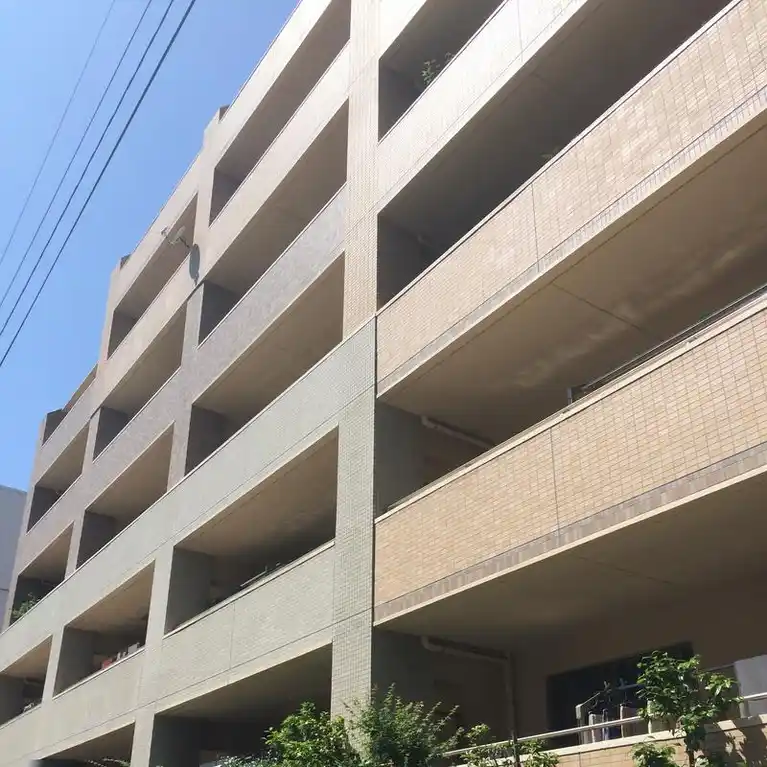 セザール駒込