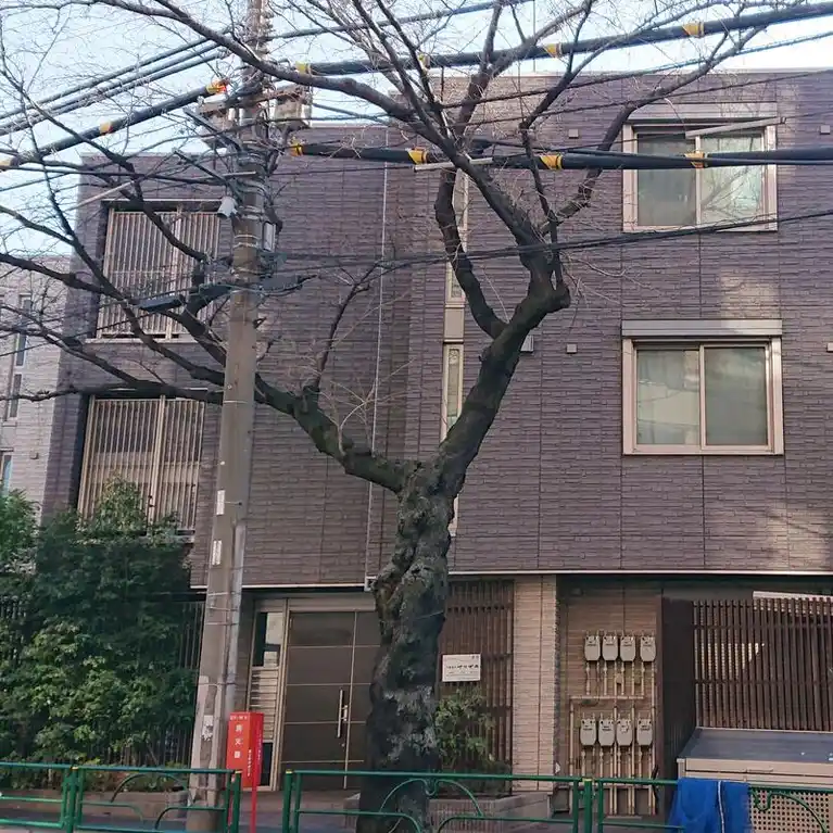 プレミール哲学堂 外観