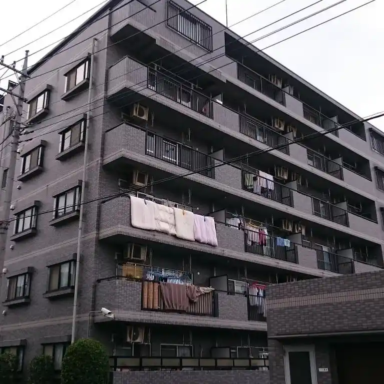 ドミールカネコ 外観