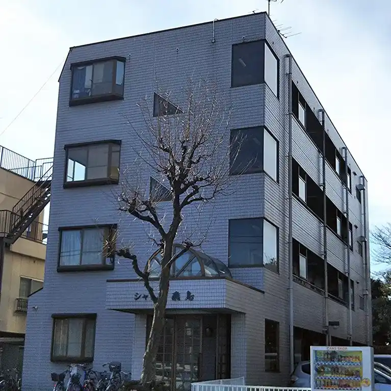シャトル飛鳥 外観
