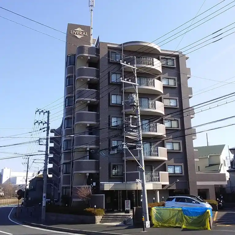 リベラル綾瀬