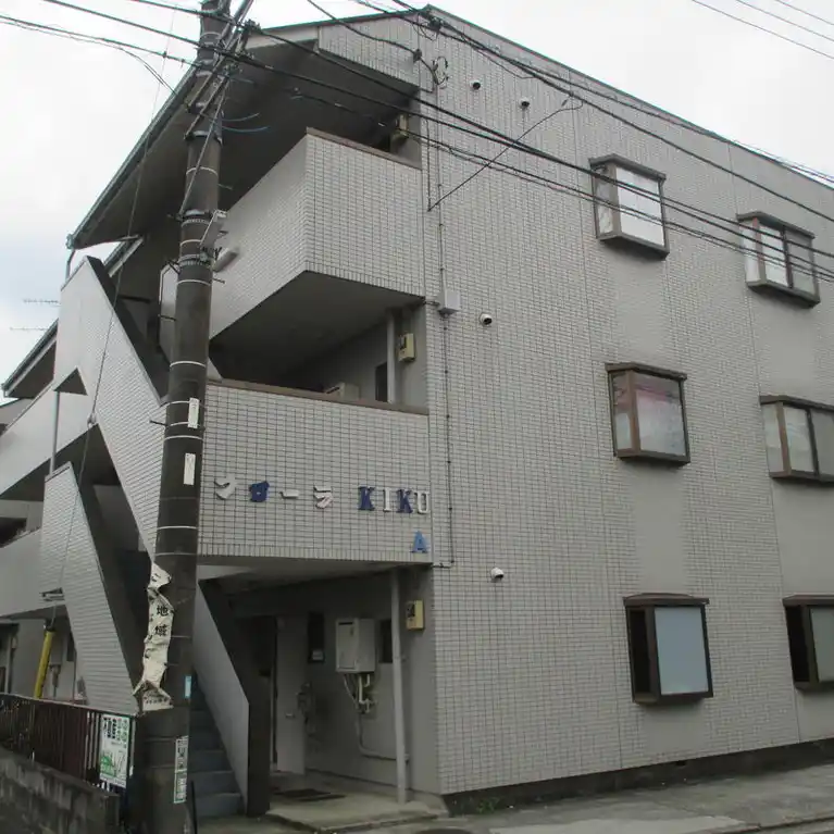 フローラキクA