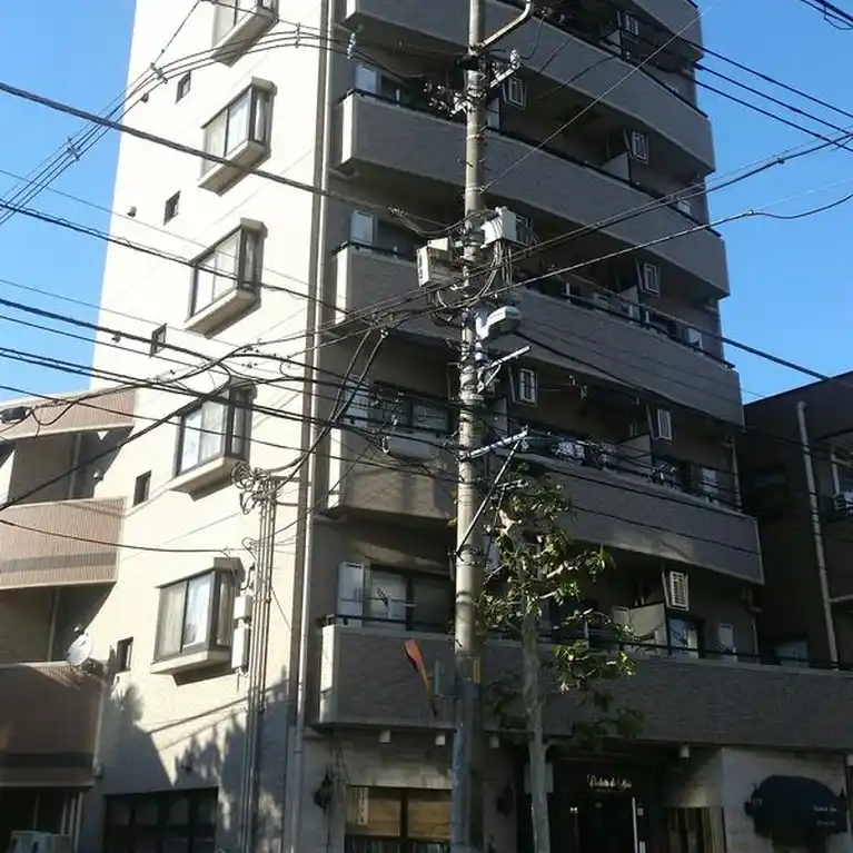 パーシモン