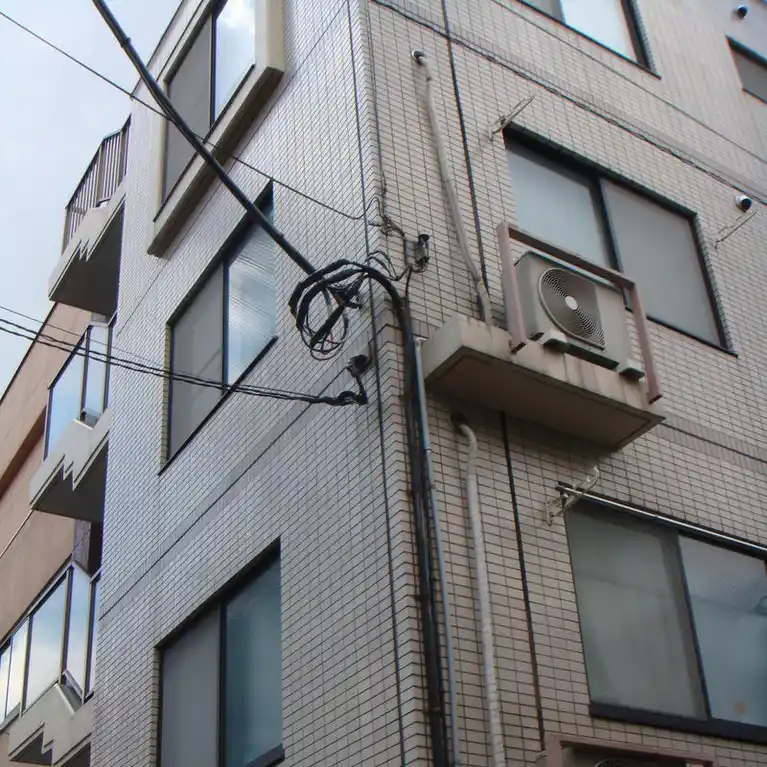 カナリーグラス 外観