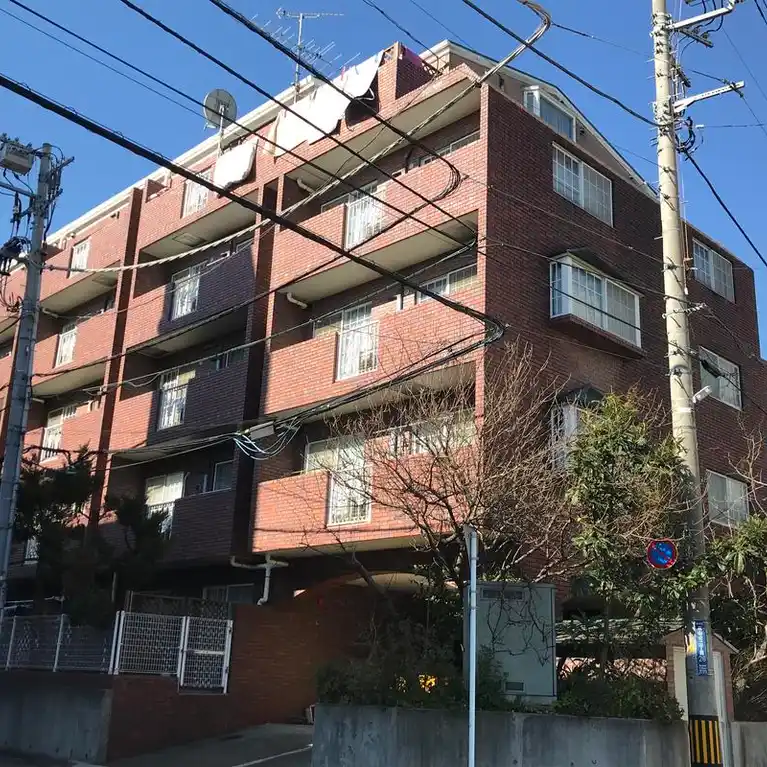 LACOLLINEMARUYAMA