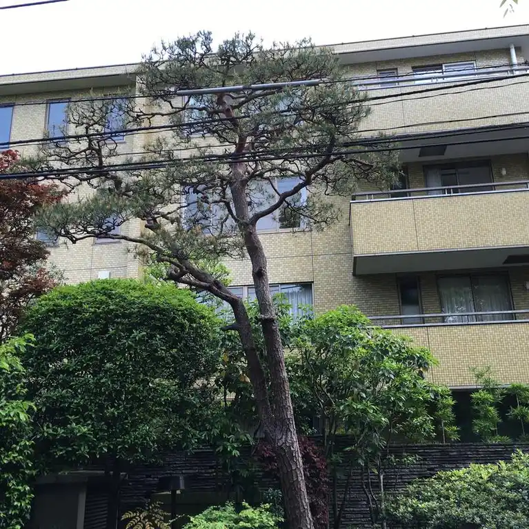 ホーマットシャロン