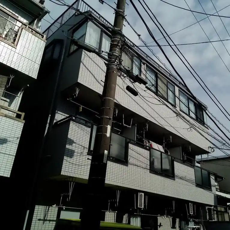カーサミラ