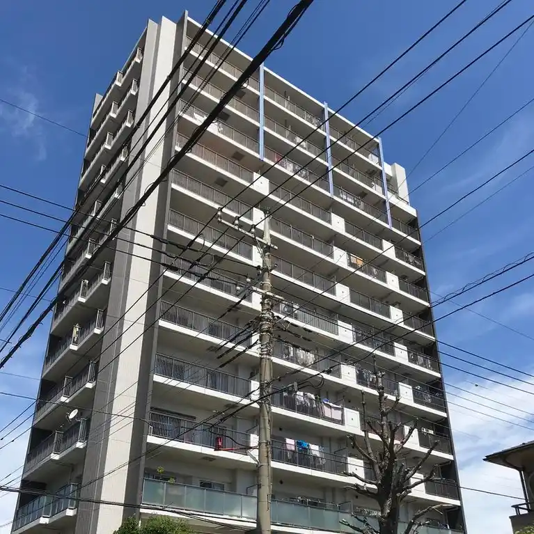 ラヴィドール川口