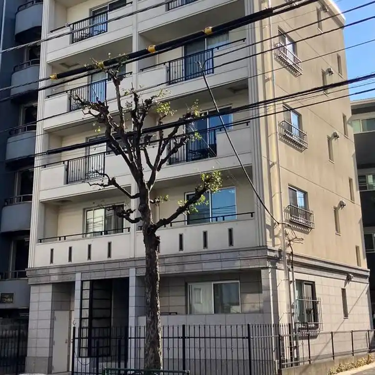 CrescentCono 外観