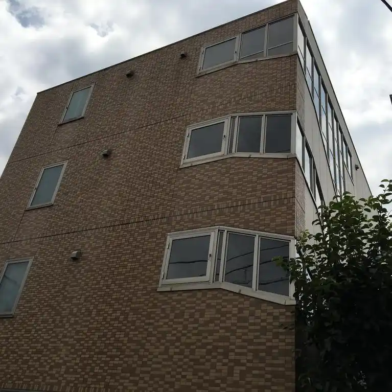 プロトン IV 外観