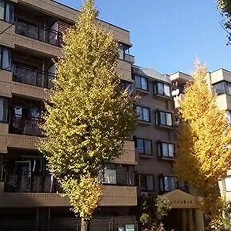 サンハイム藤が丘 外観