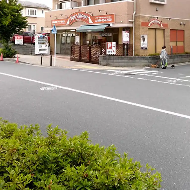 ベルヴィル新ゆり 外観
